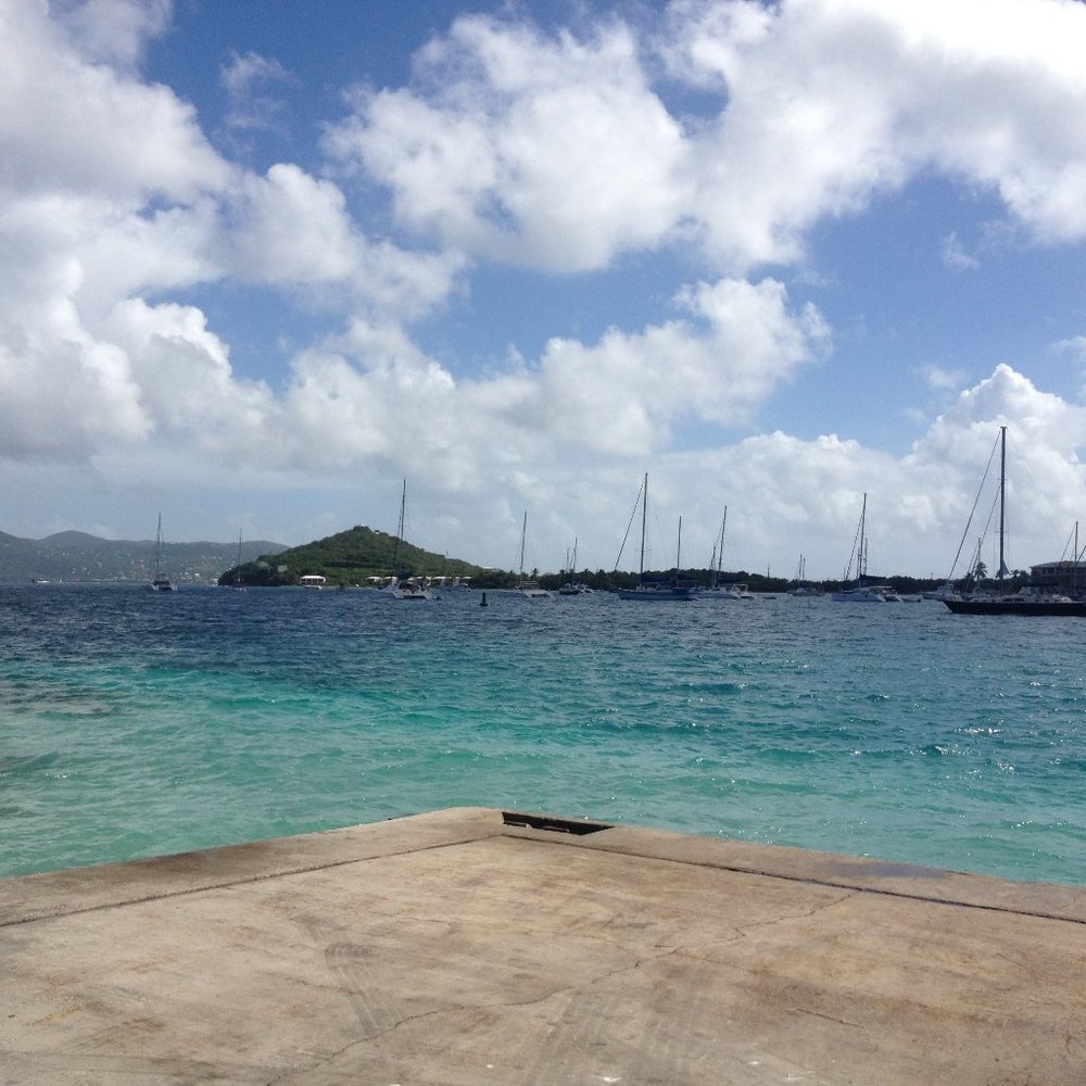 Meet your Posher, Marley